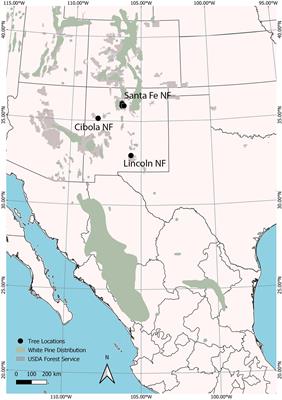 Quantitative Disease Resistance to White Pine Blister Rust at Southwestern White Pine’s (Pinus strobiformis) Northern Range